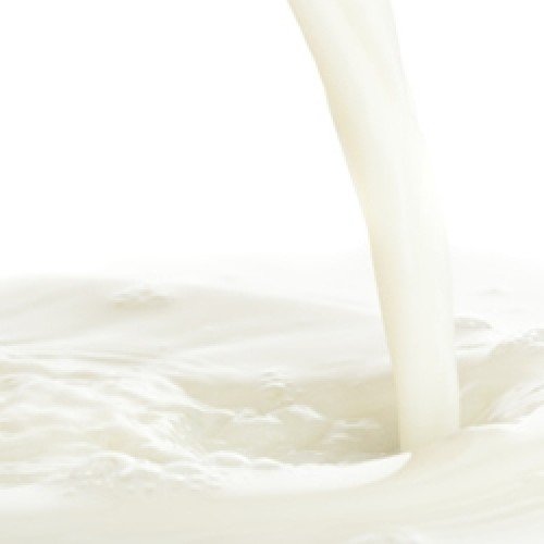 Essência TPA - Malted Milk Conc