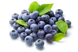 Essência TPA - Blueberry Flavor Extra