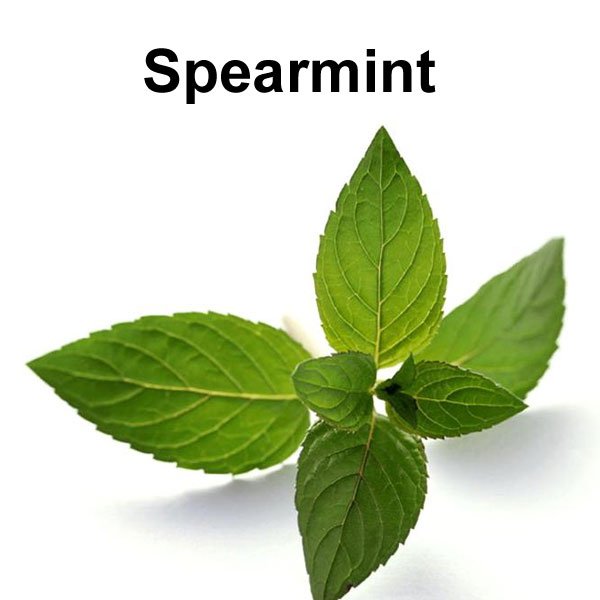 Essência TPA - Spearmint Flavor
